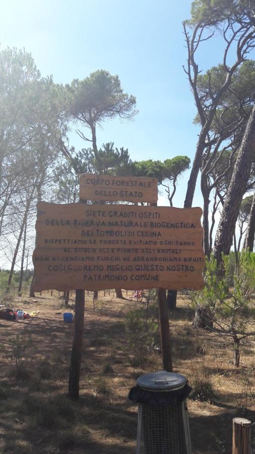 Vada Villetta A 300 Mt Dal Mare 8 Posti Letto Dış mekan fotoğraf